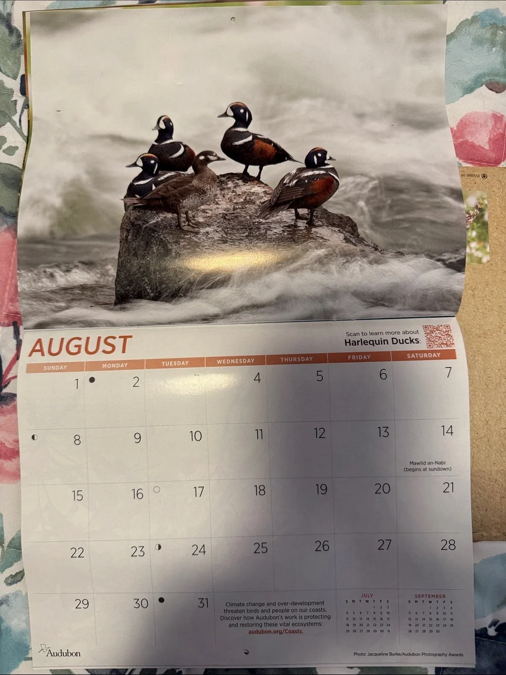 Protecting Birds and Nature 2027 Calendar